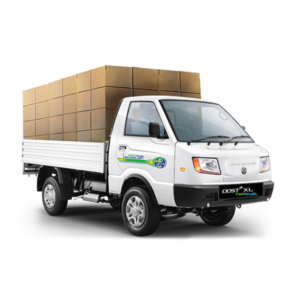 DOst + XL Twin Fuel